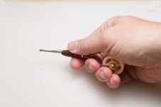 The Wasatch Whirler Bobbin in the hand The Wasatch Whirler Bobbin in the hand