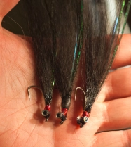 Divus Bait Divus Bait