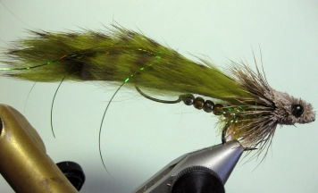 Olive Rattlesnake Olive Rattlesnake