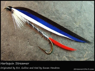 #261 - Harlequin Streamer #261 - Harlequin Streamer