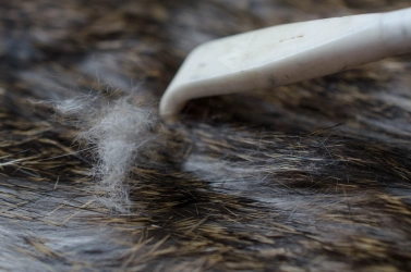 Scraped dubbing Scraped dubbing