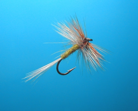 Hackle BWO Dun size 16 Hackle BWO Dun size 16