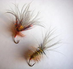 Keep it in the family Keep it in the family