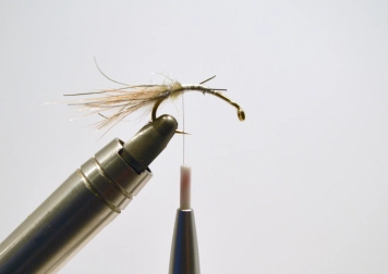 Must Shrimp - step 3 Must Shrimp - step 3