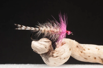 Polar Magnus Polar Magnus