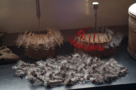 Many identical flies! Many identical flies!