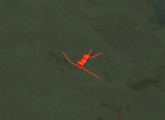 In the water In the water