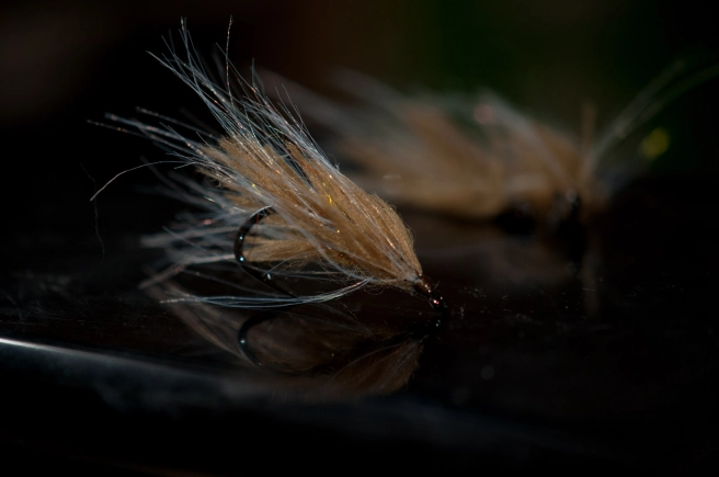 Ready to howl Ready to howl