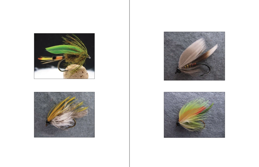 Large images Large images