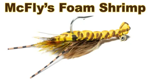 Video thumb for McFly's Foam Shrimp